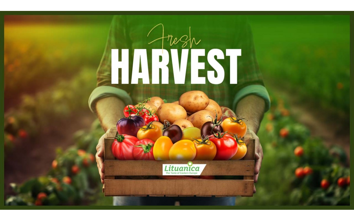 Fresh Harvest 2024