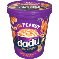 Dadu - Vanilla Ice Cream with Salted Caramel and Salted Caramelized Peanuts 400ml