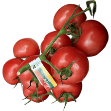 Rapsberry Tomatoes on the Twig 5kg/box LT