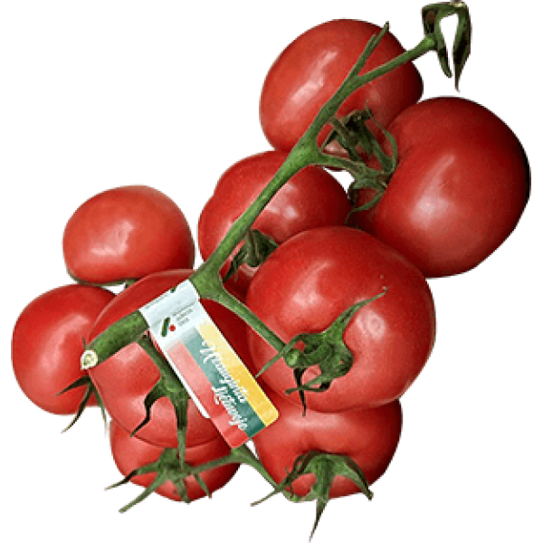 Rapsberry Tomatoes on the Twig 5kg/box LT