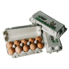 A.Banionio - Chicken Eggs 10 pcs Size L