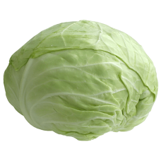 White Cabbage kg