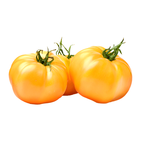 Yellow Beorange Tomatoes 5kg/box