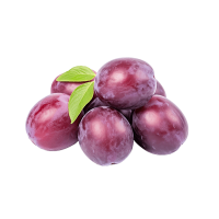 Fresh Pink Plums ~10kg Pack