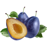 Fresh Blue Plums ~6kg Pack