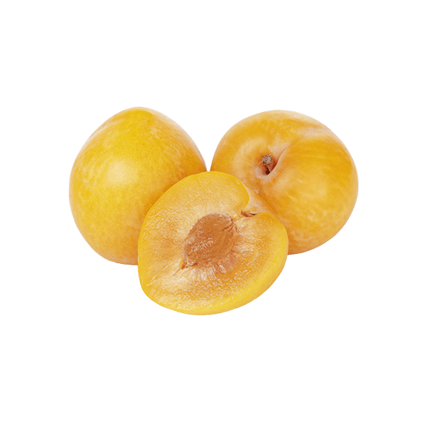 Fresh Yellow Plums ~10kg Pack