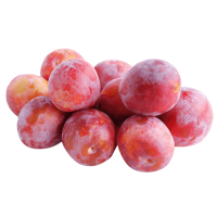 Fresh Dark Pink Plums ~8kg Pack