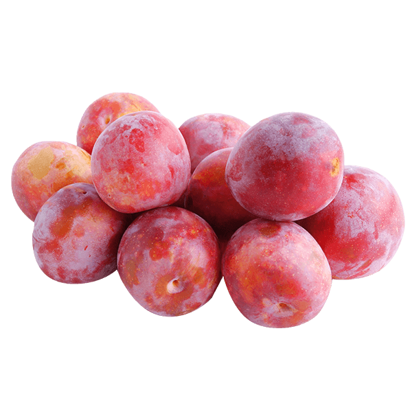 Fresh Dark Pink Plums ~8kg Pack