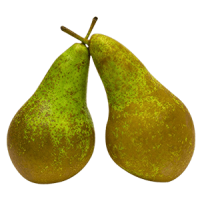 Fresh Pear Conference 15kg Pack