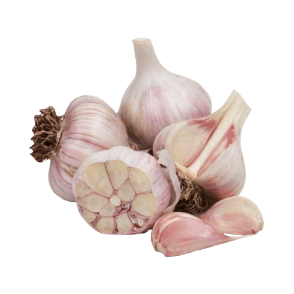 Fresh Garlic 10pcs