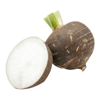 Fresh Black Turnip ~5kg pack