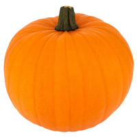 Fresh Pumpkin ~5kg