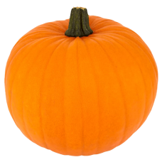 Fresh Pumpkin ~5kg