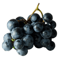 Fresh Big Black Moldavian Grapes ~8kg pack