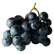 Fresh Big Black Moldavian Grapes ~8kg pack