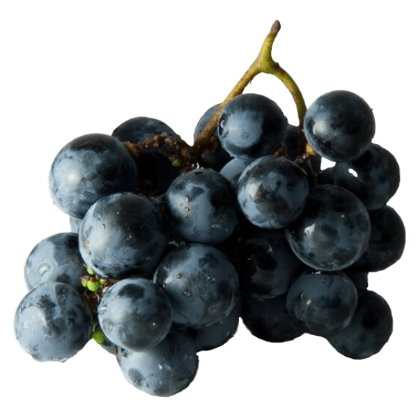 Fresh Big Black Moldavian Grapes ~8kg pack