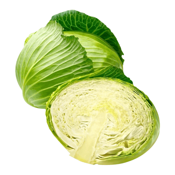 Fresh Cabbage Individually Wrapped kg