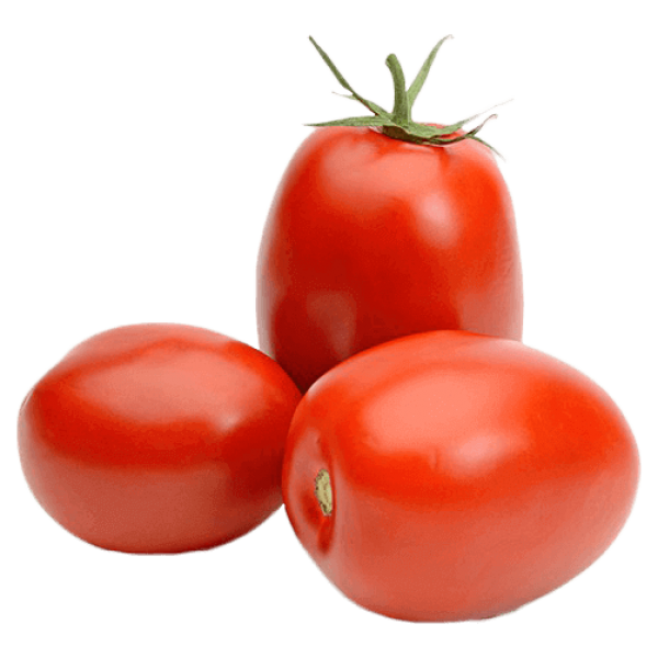 Fresh Plum Tomatoes 5.5kg Pack