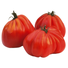 Tomatoes Beef Heart 5kg