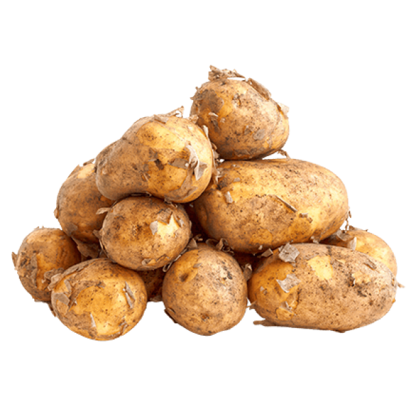 Fresh Potatoes in Bag 2.5kg  Lithuanian