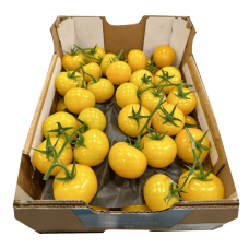 Fresh Yellow Vine Tomatoes ~5kg