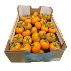 Fresh Orange Vine Tomatoes ~5kg
