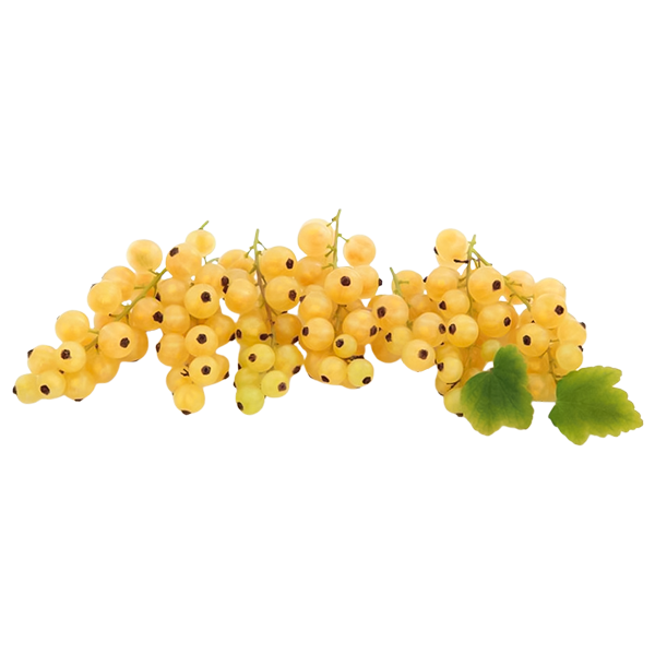 Fresh White Currant ~250g pcs