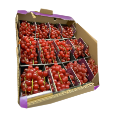 Fresh Redcurrant ~265g pcs