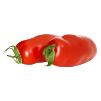 Fresh Pepper Tomatoes 6kg