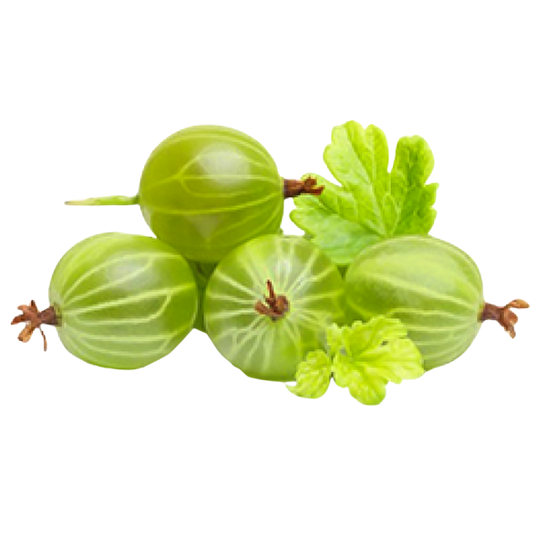 Fresh Green Goosberry 250g