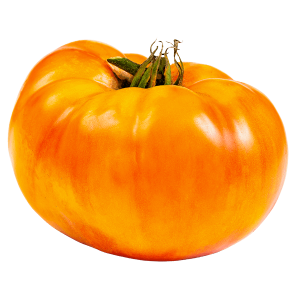 Fresh Pineaple Tomatoes ~6kg