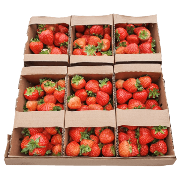 Fresh Strawberries ~1kg pcs