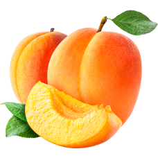 Fresh Apricots 8kg
