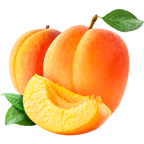 Fresh Apricots 8kg