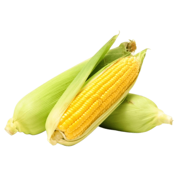 Fresh Corn Colb pcs