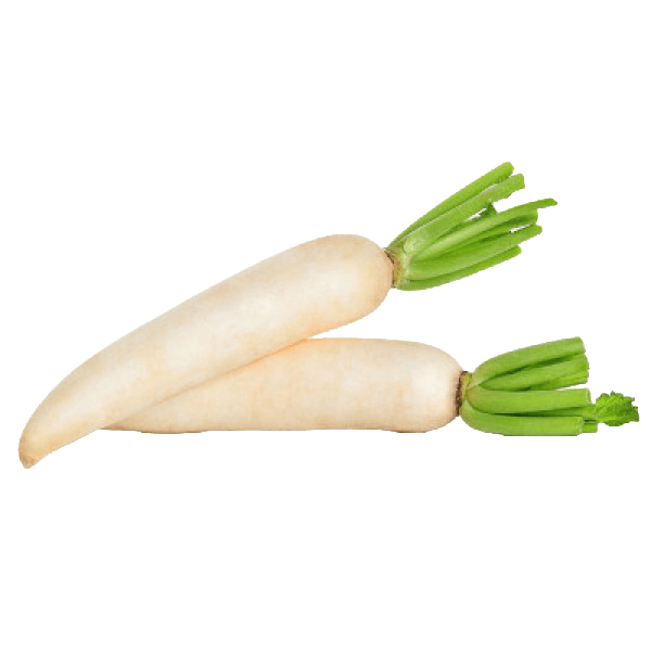 Fresh White Radish ~5kg