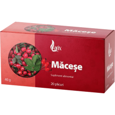 Larix - Rosehip Tea 20x2g