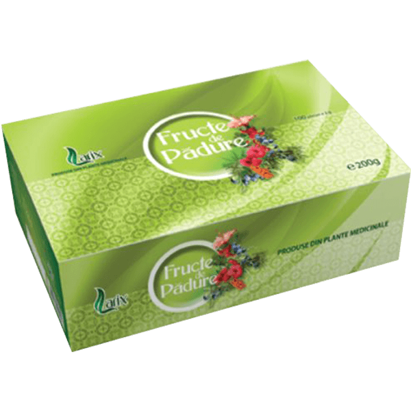 Larix - Forest Fruits Tea 100x2g