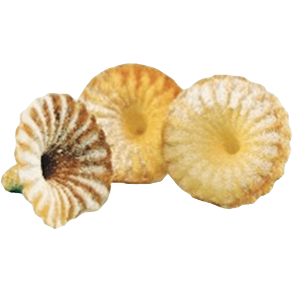 Dagema - Biscuits Zagareliai Voveraite 400g