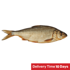 Rusnes Zuvis - Hot Smoked Twait Shad kg