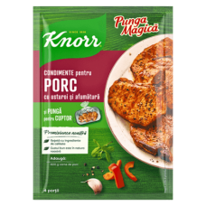 Knorr - Spices for Pork with Garlic 25g