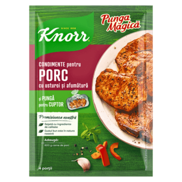 Knorr - Spices for Pork with Garlic 25g