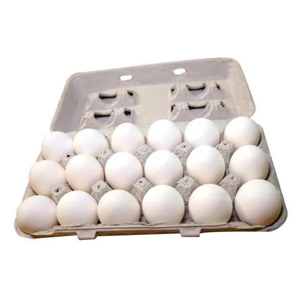 White Eggs 18pcs Tray