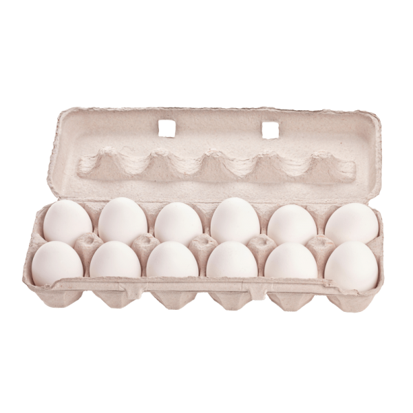 White eggs 12pcs Tray