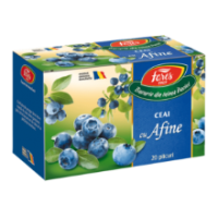 Fares - Tea Blueberries 20x2g