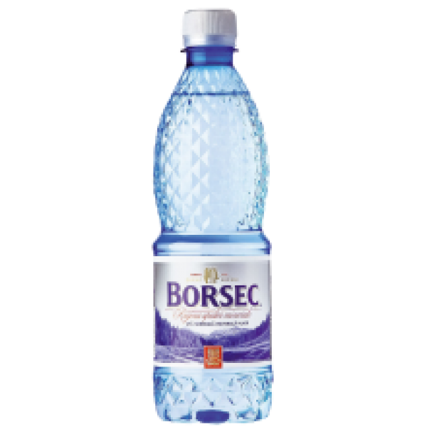 Borsec - Still Mineral Water / Apa Minerala Plata 500ml