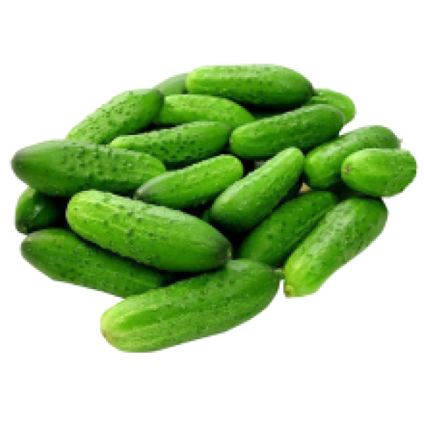 Fresh Cucumbers 6kg